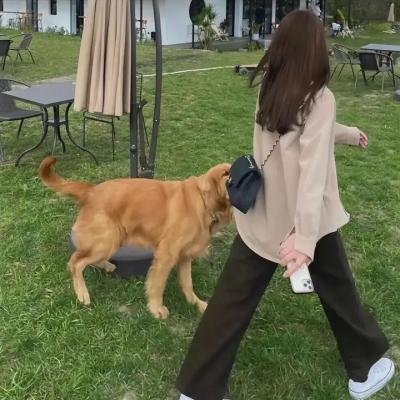 荡女满天飞